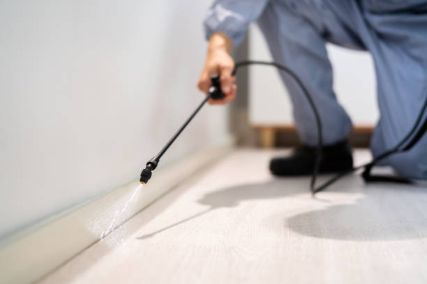 Licensed Pest Control service in Deltana, AK - Show Me Pest Control