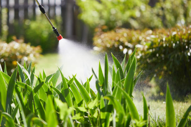24/7 Emergency Ant Control experts in Deltana, AK